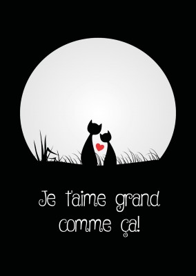 l'illustration des chats