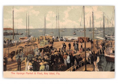 Key West Florida Sponge Market and Fleet