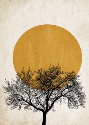 Baum vor untergehender gelber Sonne