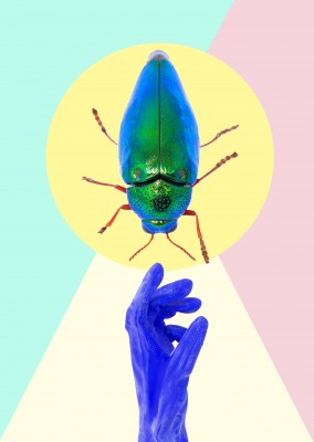 Kubistika insect mit blauem Handschuh