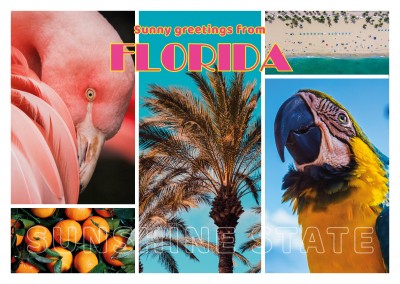 photocollage Florida retro letras, parot, flamingo, naranjas, playa