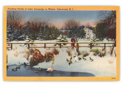 Lakewood New Jersey Lake Carasaljo Feeding Ducks