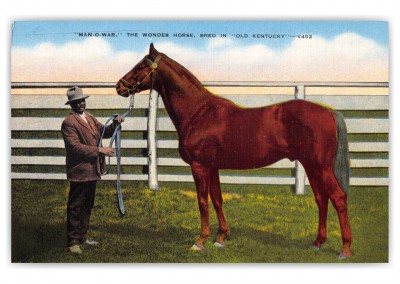 Lexington, Kentucky, Faraway Farm horse