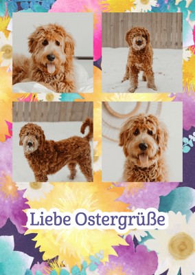 EIN FROHES UND GESEGNETES OSTERFEST