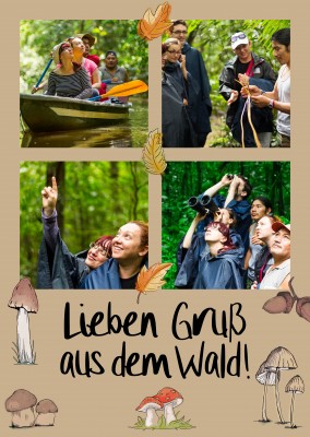 Postkarte Lieben Gruß aus dem Wald