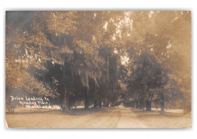 Maitland Florida Drive leading to Kingsley Place