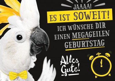 Postkarte Gutsch Verlag - Ich wünsche dir einen Megageilen Geburtstag!
