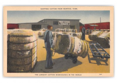 Memphis Tennessee Shipping Cotton