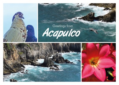 Fotocollage Acapulco Felsen Blume Tauben