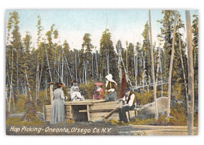 Oneonta, New York, Hop Picking 