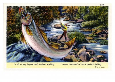 Curt Teich carte Postale de la Collection des Archives dans un remblai de mes rêves et de mes plus beaux souhaitant je n'ai jamais rêvé d'une telle pêche parfait