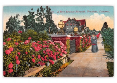 Pasadena California Rose Bordered Sidewalks