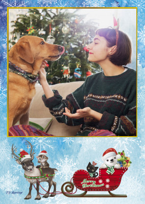 Merry Christmas