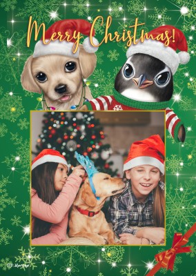 Merry Christmas