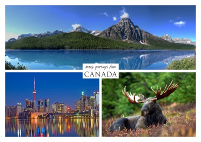Three photos of canada – nature woods sea moose city