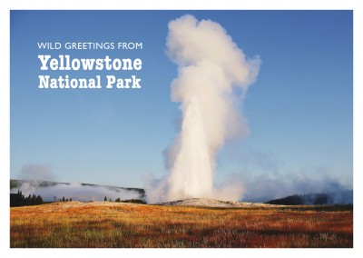 photo of geyser in yellowstone national park