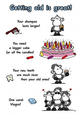 "You are Birthday!" Congratulations Card 55274 Sheepworld Birthday card 34 