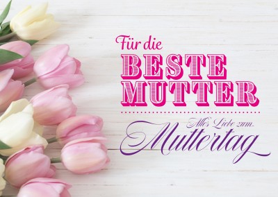 rosa Tulpen für die beste Mutter zum Muttertag