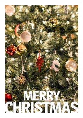 Weihnachtsgrußkarte mit Nahaufnahme eines Weihnachtsbaumes