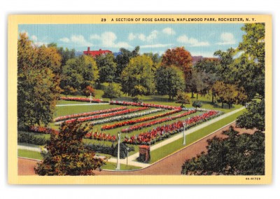 Rochester, New York, Maplewood Park Rose Gardens
