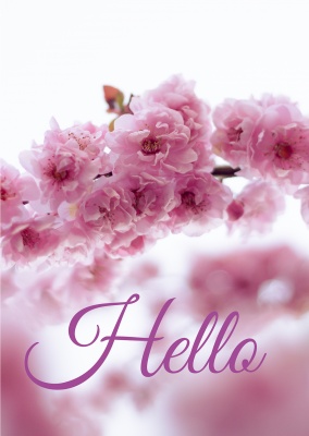 Foto mit rosa Blumen und klassicher Handschrift