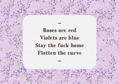 Roses are red, violets are blue, stay the fuck home and flatten the curve.