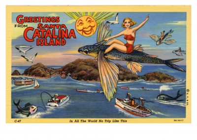 Curt Teich Postal Archivos Collection greetings de la Isla de Santa Catalina