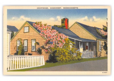 Siasconset, Massachusetts, Heartsease