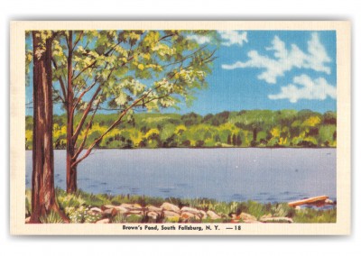 South Fallsburg, New York, Brown's Pond