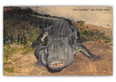 St. Augustine Florida Casper's Gator Jungle Old Columbus 