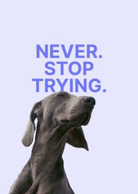 Never. Stop trying.