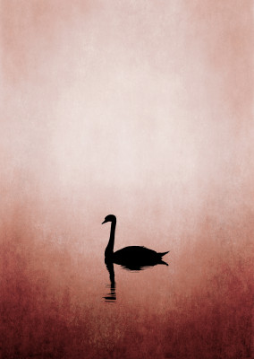 Kubistika The swan