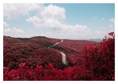 red Landscape with road