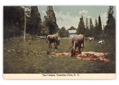 Tomkins Cove, New York, The Cedars