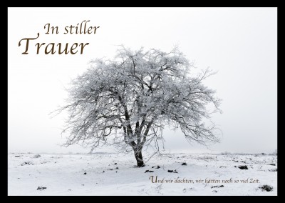 Trauerschriftzug auf Foto Baum im Winter
