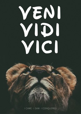 cartão-postal dizendo venic vidi vici