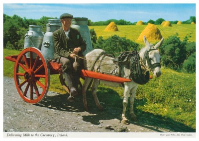 De John Hinde archieffoto het leveren van melk aan de zuivelfabriek