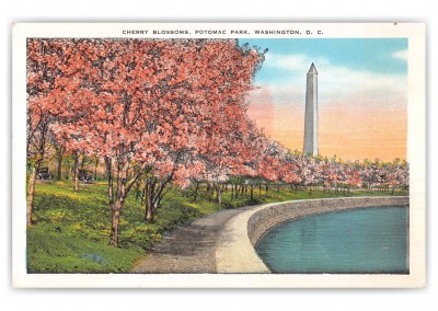 Washington DC, Cherry Blossoms, Potomac Park