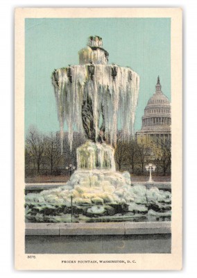 Washington DC Frozen Fountain