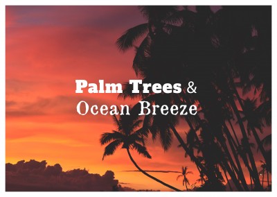 postcard saying Palm trees & ocean breeze